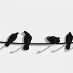 Birds on Wire Covo