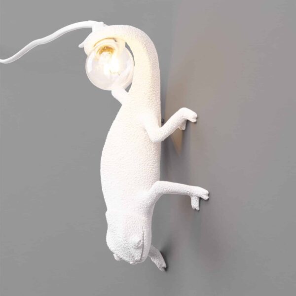 Chameleon Lamp Going Down Seletti